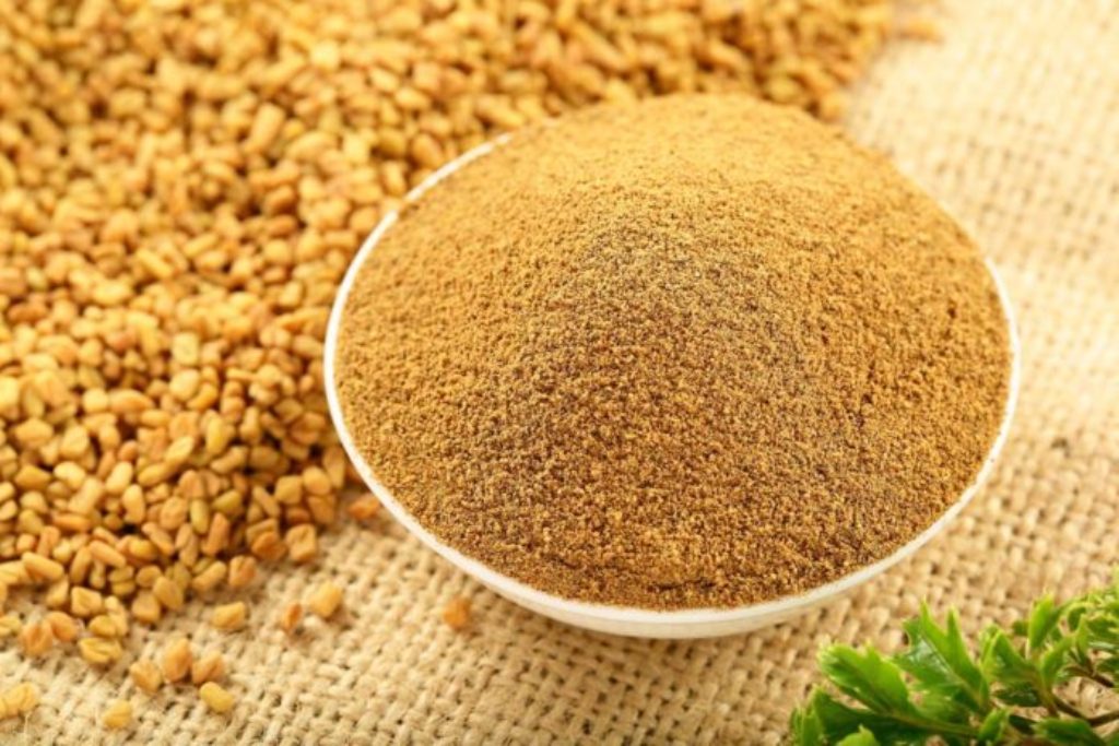 الحلبة
