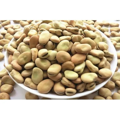 الفول