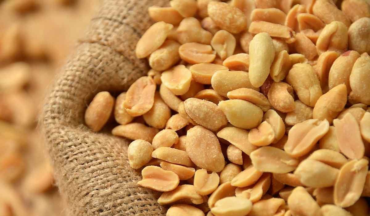 الفول السوداني
